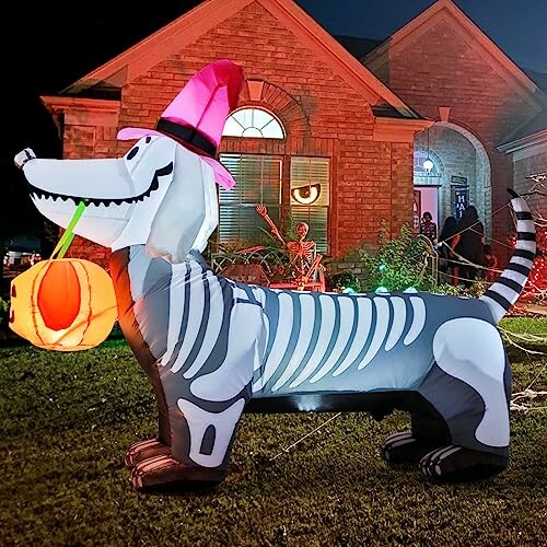 Inflatable skeleton dachshund with pumpkin and witch hat in front yard.
